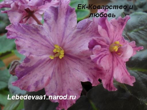 ЕК-Коварство и любовь 20-20 текст.JPG
