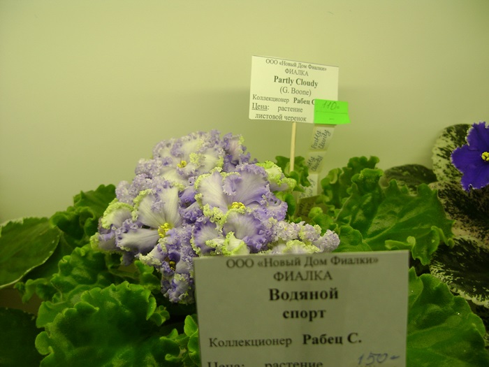 DSC05129.JPG