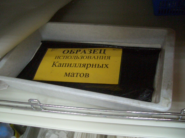 CIMG0421.JPG