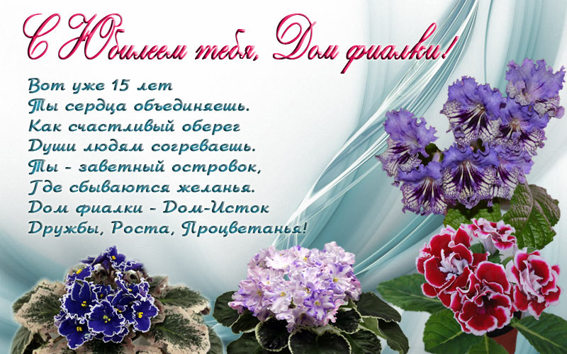 Дом-фиалки-15-лет-уменьш.jpg