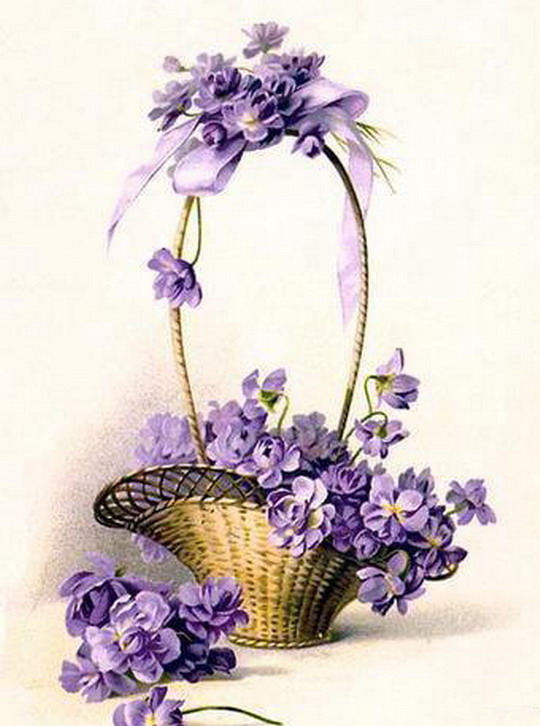 picture.jpg