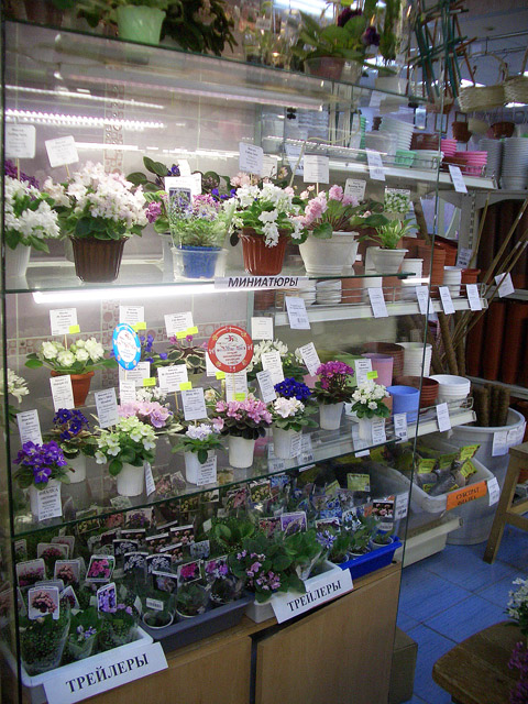 CIMG0058.JPG